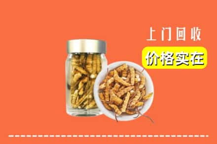 收购资讯:新余市渝水回收散虫草