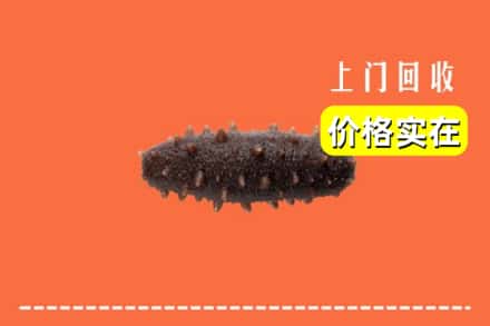 收购资讯:新余市渝水回收海参