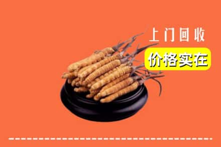 新余市渝水回收冬虫夏草