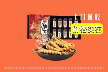 新余市渝水回收虫草